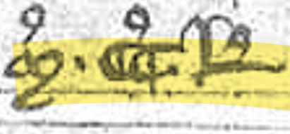 term image