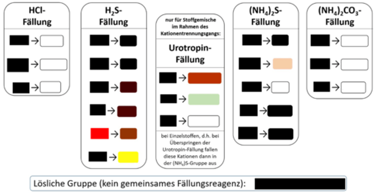 <p>H₂S-Fällung, roter NS</p>
