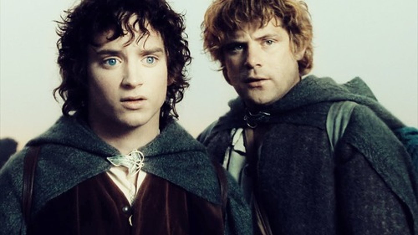 <p>Neurons transmit information (think Frodo). Glia function to support Neurons in doing their job (think Sam).</p>