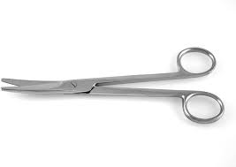 Used for cutting heavy tissue or muscle; dissecting heavy tissue (dissecting scissors)
