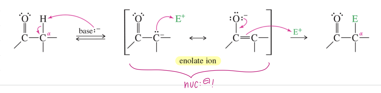 <p>Subs of 1 H attached to α C w/ Elec</p><p>** <strong>Enolate ion interm</strong></p>