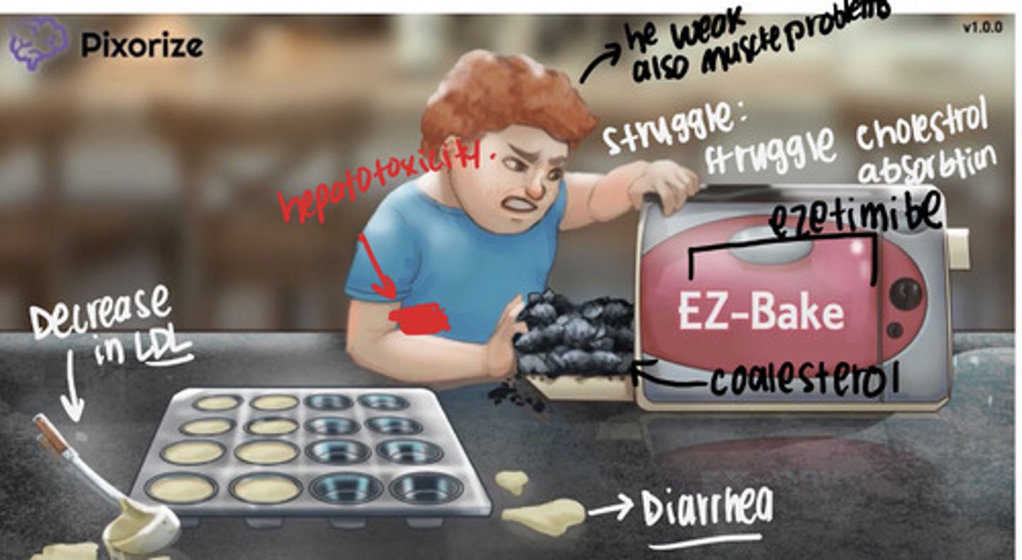<p>Bile acid sequestrants (cholestyramine &amp; colesevelam) </p><p>MOA: increase loss of ldl through feces </p><p>S/S: GI effect- constipation </p><p>Fibrates (Fenofibrates &amp; Gemfibrozil) </p><p>MOA: lowers triglycerides </p><p>S/S: increase risk gallstone, GI problems, and Myopathy, liver </p><p>Cholesterol absorption (ezetimibe) </p><p>inhibits absorption of cholesterol </p><p>add on to statins </p><p>s/s: hepatitis, myopathy </p><p>PCSK9 (Alirocumab &amp; Evolocumab) - For ppl who can't tolerate statins </p><p>sub q every two or more weeks (monotherapy) </p><p>Prevents breakdown of LDL receptors so more LDL receptors work and reduce LDL </p><p>s/s: hypersensitivity (rash, etc) </p>