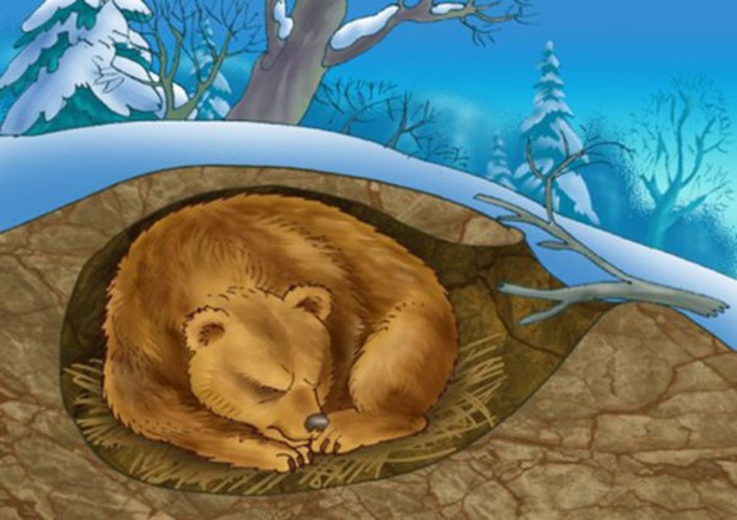 <p>A way of responding to the environment that is specific to a species of organisms that allows the organism to better survive in its environment.</p>