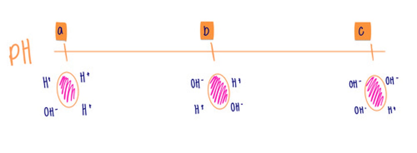 <p>describe this diagram; state what is occurring at a, b, and c</p>