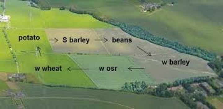 <p>A way to reduce the loss of soil fertility. A different crop is grown on a piece of land each year or land is sometimes left fallow (unseeded). The rotation allows for different nutrients to be extracted or replenished in the soil. Fallowing gives time for soil to recover or for pathogen lifecycles to be broken.</p>