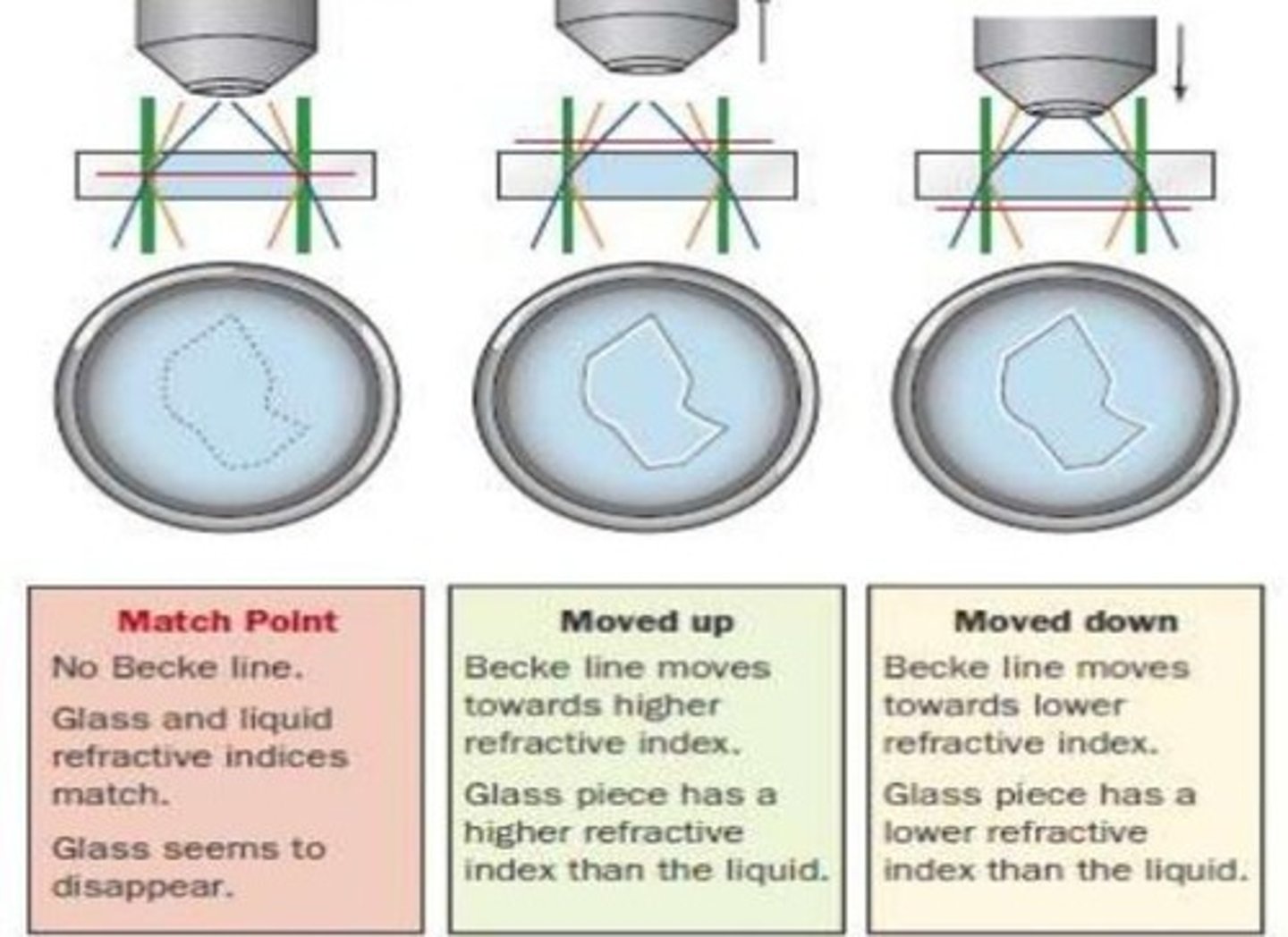 <p>A technique that requires knowledge of temperature, refractive index of oil, and a single known wavelength</p>