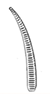 <p>Type of Forcep</p>