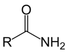 <p>amides</p>