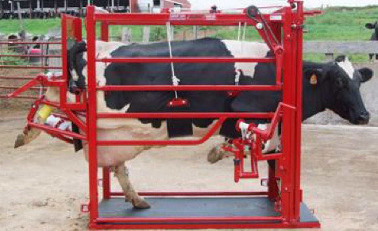 <p>What type of chute is this? Name some pros and cons</p>
