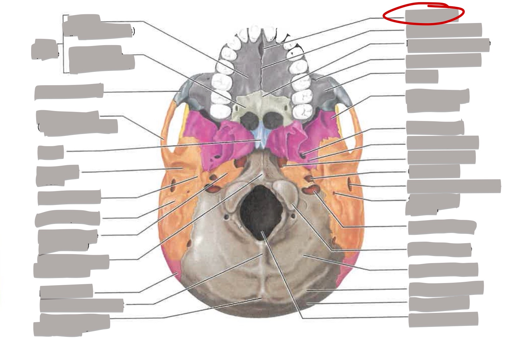 term image