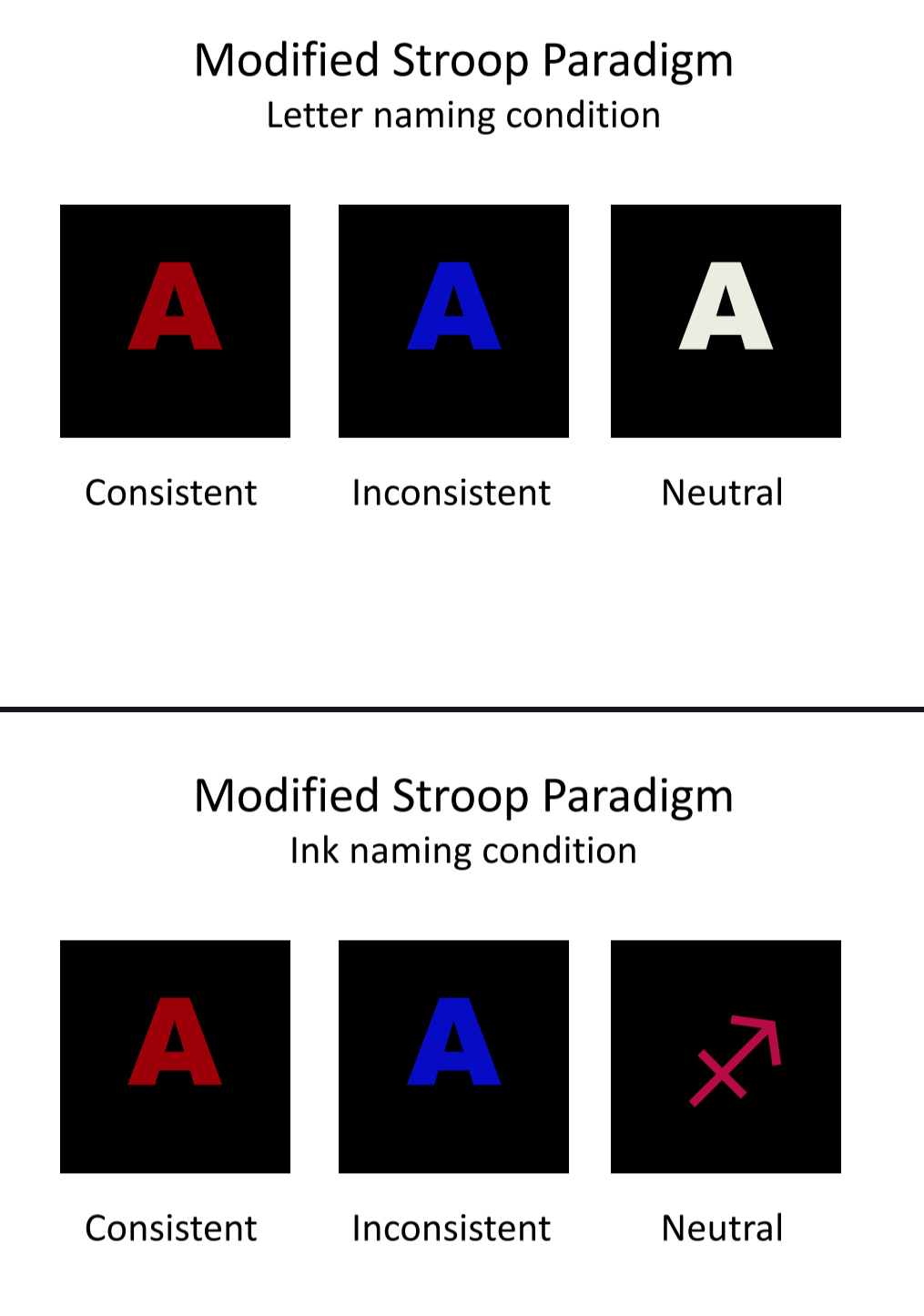 <p>Letter naming condition</p><ul><li><p>Showed letters in consistent colors (the colors that the syntheses see the letter in, ex. A in red), inconsistent colors, and netural colors</p></li></ul><p>Ink naming condition</p><ul><li><p>Same consistent and inconsistent trials, but the neutral showed a random object in color</p></li></ul><p>RT was faster in consistent → neutral → inconsistent compared to control subjects who had no difference in RT</p>