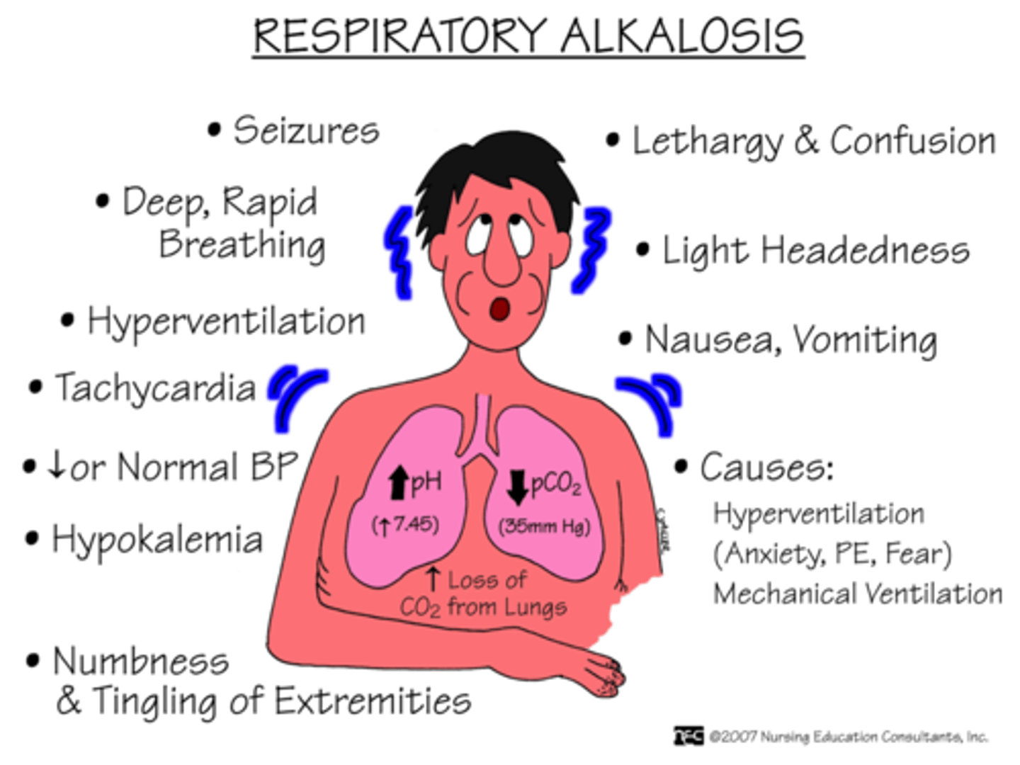 <p>Arise in blood pH due to hyperventilation (excessive breathing) and a resulting decrease in CO2.</p>