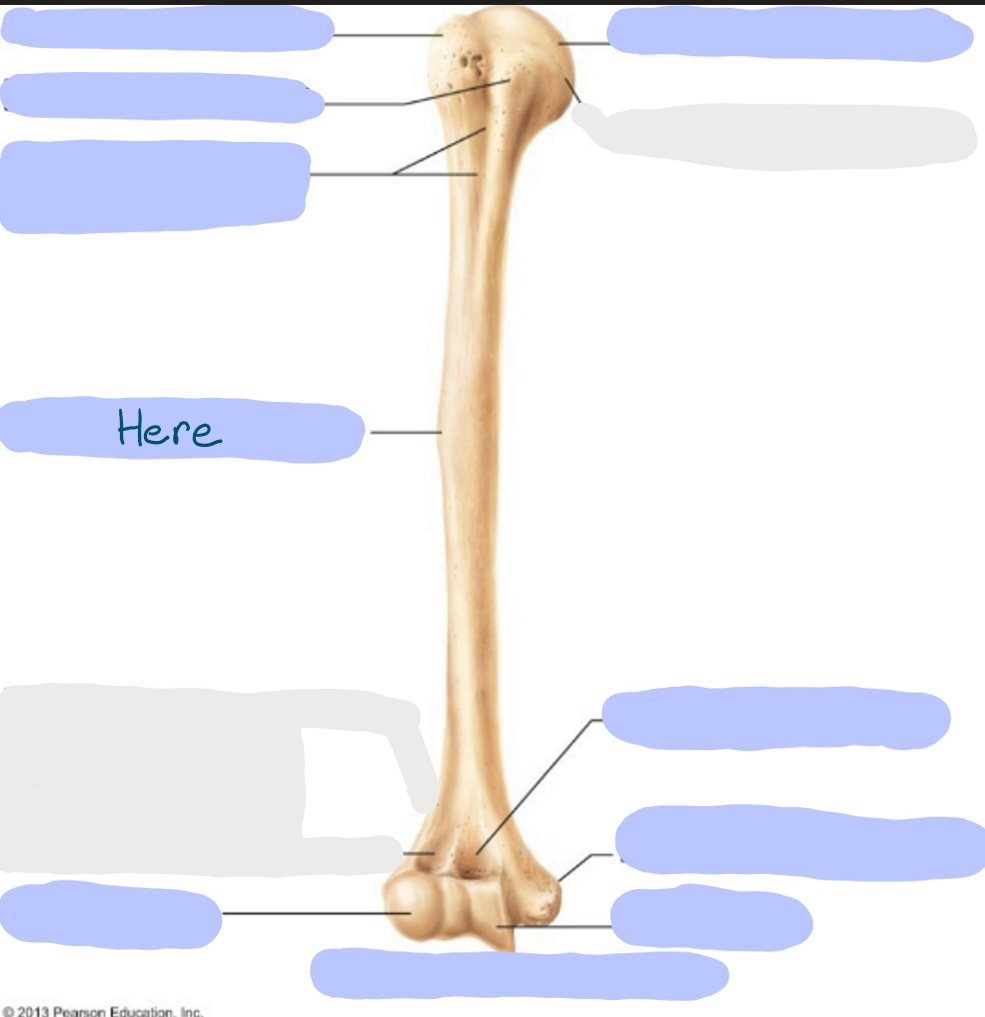 <p>What is here?</p>