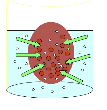 <p>higher level of protein in blood relative to the ISF is the main reason why it has:</p>