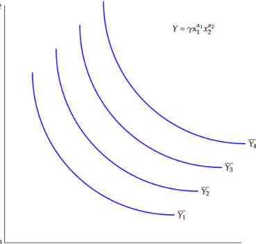 <p>which graph is this?</p>