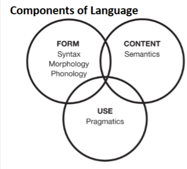 <p>Form</p><p>Content</p><p>Use</p>