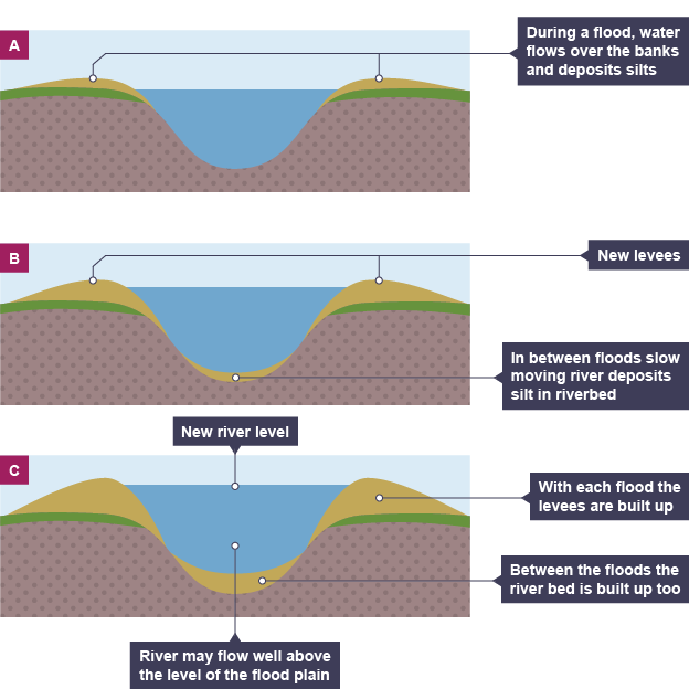 <p>River floods, friction with land causes deposition due to reduced velocity</p><p>Heaviest sediment is deposited closest to river</p><p>Continuous flooding builds up river banks higher</p><p>River bed builds up bed load over time, raising level of river, increasing probability of future flooding</p>