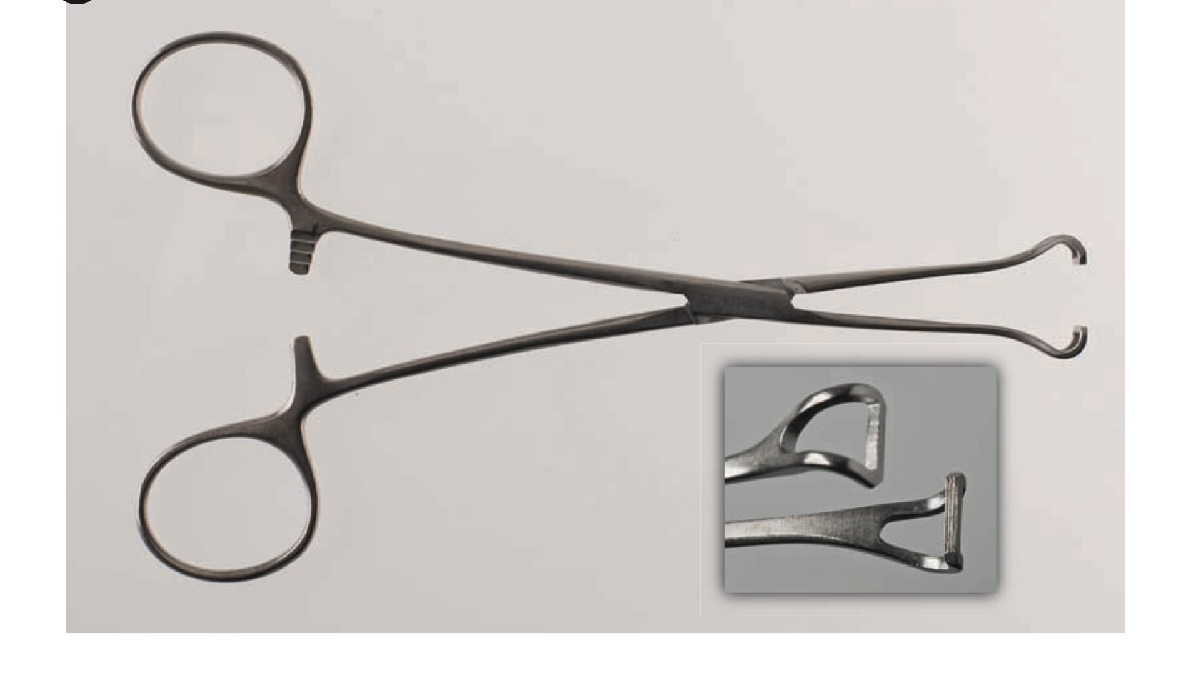 <p>Babcock clamp</p>