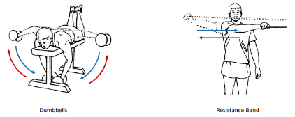 <p>These 2 isotonic exercises are called what?</p>