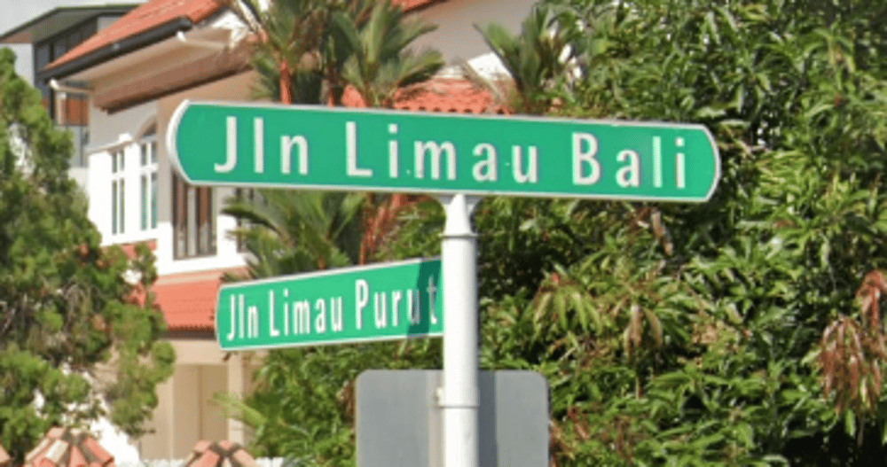 <h4 id="92e8176c-6be5-4a45-bf70-7a9f2df9bbdb" data-toc-id="92e8176c-6be5-4a45-bf70-7a9f2df9bbdb" collapsed="false" seolevelmigrated="true">Singapore</h4><p></p><p>Other indications of singapore:</p><ul><li><p>Road signs are green with unique white font and rounded edges (see image)</p></li><li><p>Drives on the left</p></li><li><p>Licence plates are black with white writing, similar to Malaysia or Indonesia</p></li><li><p>Roads often have black and white stiped kerbs</p></li><li><p>Vibes: concrete and greenery</p></li></ul><p></p>