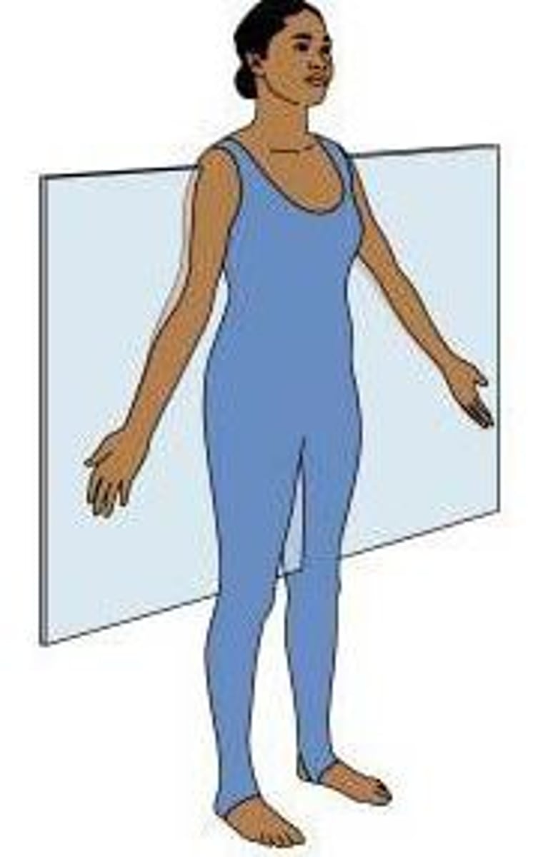 <p>a cross-section dividing the body into front and back half</p>