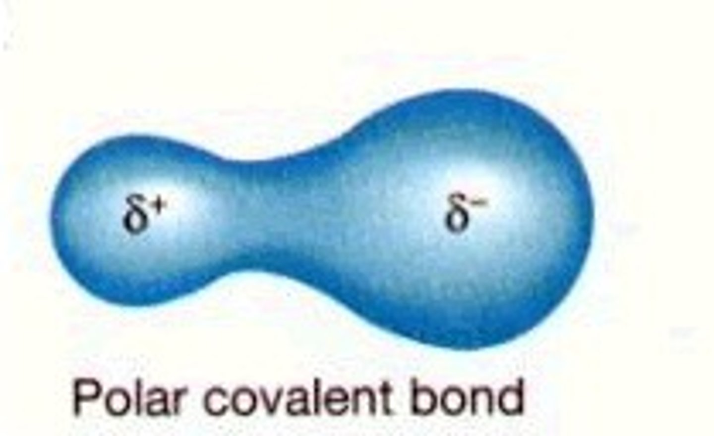 <p>Molecule with partial charges. Mixes with water.</p>