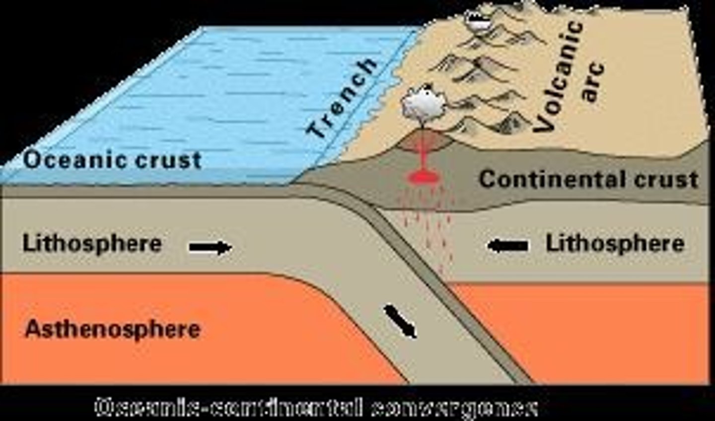 <p>The process by which oceanic crust sinks beneath a deep-ocean trench and back into the mantle at a convergent plate boundary.</p>