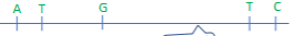 <p>ATGTC</p>