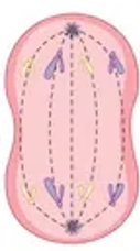 <ul><li><p>Centromeres divide</p></li><li><p>Chromosome move to opposite ends of the cell</p></li></ul><p></p>
