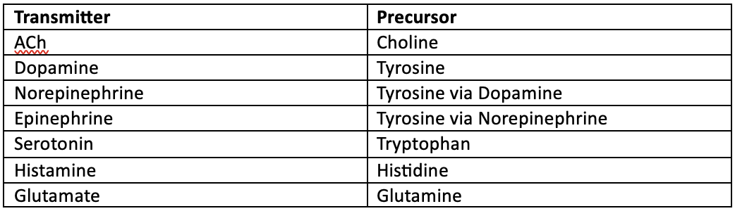* Choline
* tyrosine
* tyrosine via dopamine
* tyrosine via norepinephrine
* tryptophan
* histidine
* glutamine
* serine
* glutamate and then by glutamic acid decarboxylase (GAD)