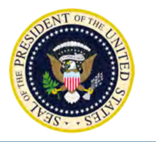 <p>Chain of command: </p><p>Commander in chief</p>