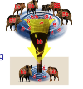may reduce the capacity of endangered species to survive as humans continue to alter the environment