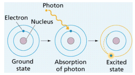 <ul><li><p><span style="font-family: sans-serif">are unstable</span></p></li><li><p><span style="font-family: sans-serif">will re-emit the excitation energy as light, heat, or</span><span><br></span><span style="font-family: sans-serif">motion (kinetic energy)</span></p></li><li><p><span style="font-family: sans-serif">re-emitting the excitation energy returns the atom to ground state</span></p></li><li><p><span style="font-family: sans-serif">ground state is an atom’s most stable state</span></p></li></ul>