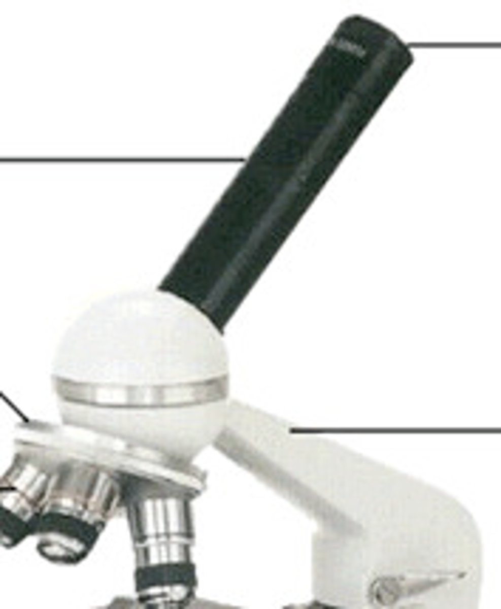 <p>separates the ocular lens from the objective lenses at a distance calculated for proper magnification</p>