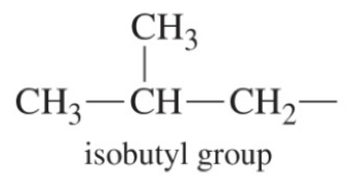 <p>isobutyl group - four carbons</p>