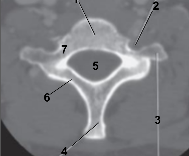 <p>5</p>