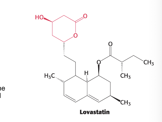 <p>heart disease</p><ul><li><p>goal is to <strong>reduce</strong> blood cholesterol levels</p></li><li><p>statins are <strong>competitive</strong> inhibitors of <strong>HMG-CoA reductase</strong> so <strong>block</strong> de novo synthesis of cholesterol</p><ul><li><p>part of lovastatin structure that resembles the 3-hydroxy-3-methylglutaryl (HMG) moiety is in red</p></li></ul></li></ul><p></p>