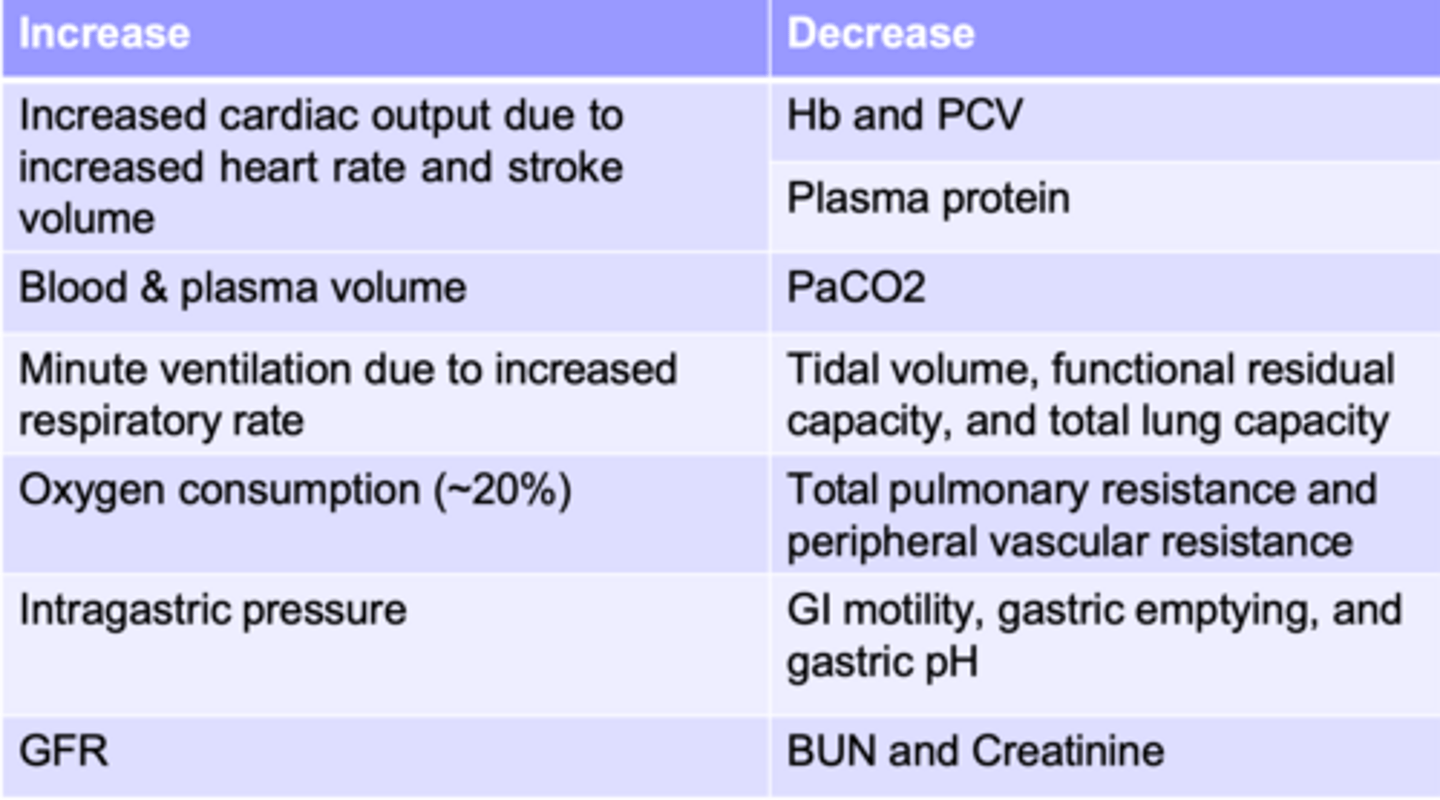 <p>what is shown here</p>