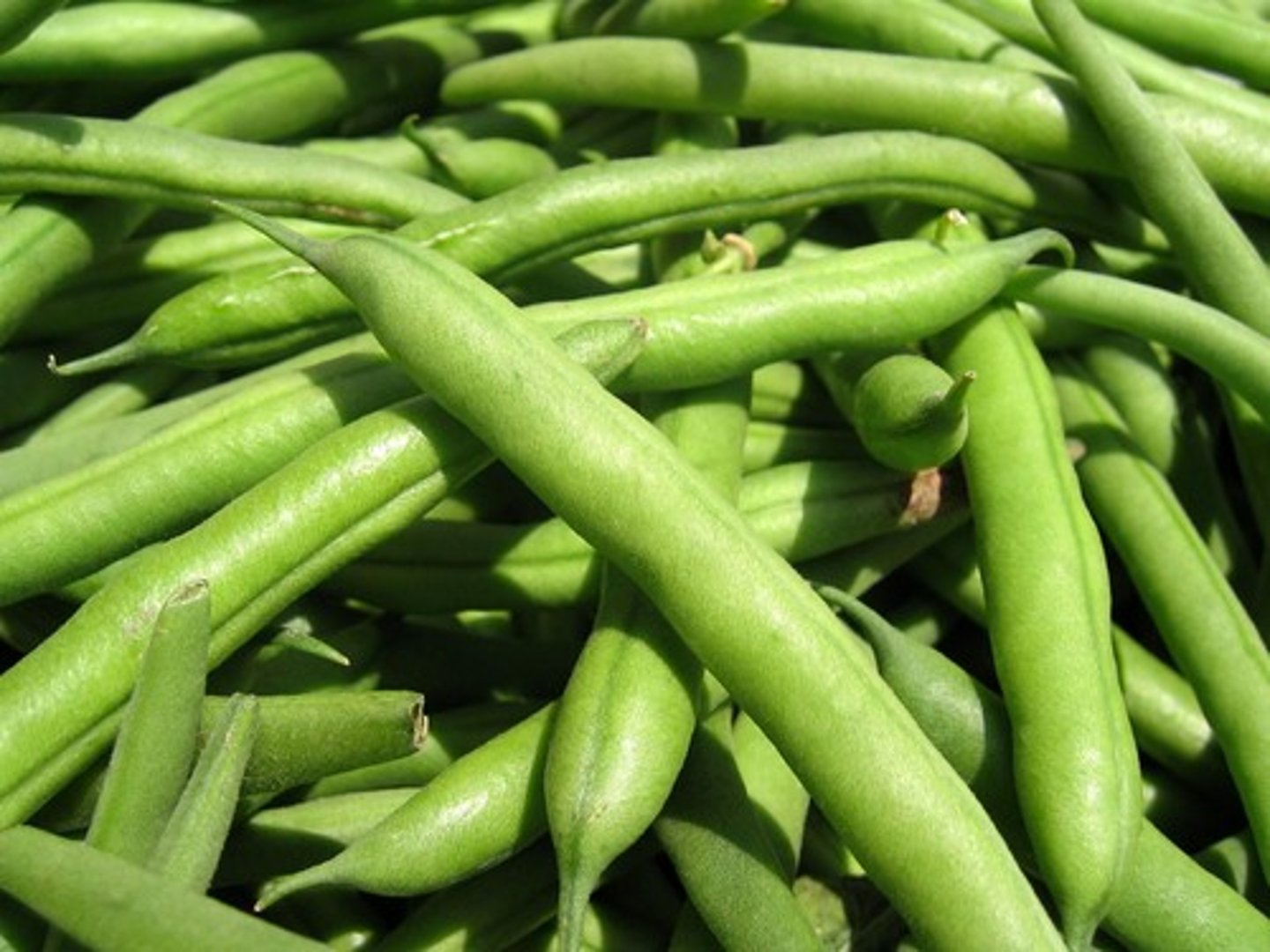 <p>green beans</p>