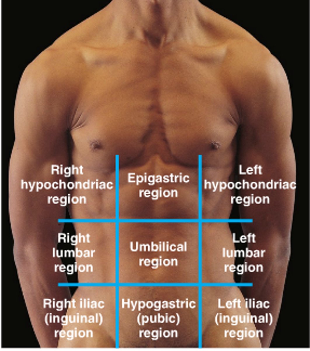 knowt flashcard image