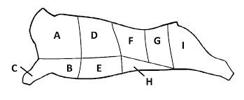 <p>What is part H of the cow and what is one slice of meat you can get from that area?</p>