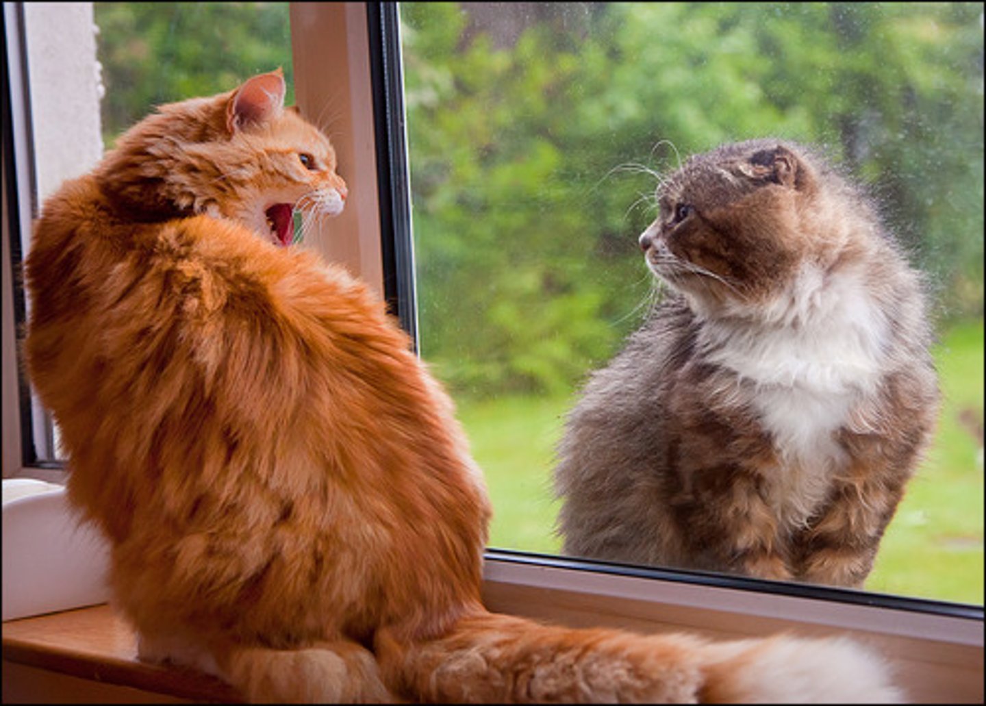 <p>the opponent</p>