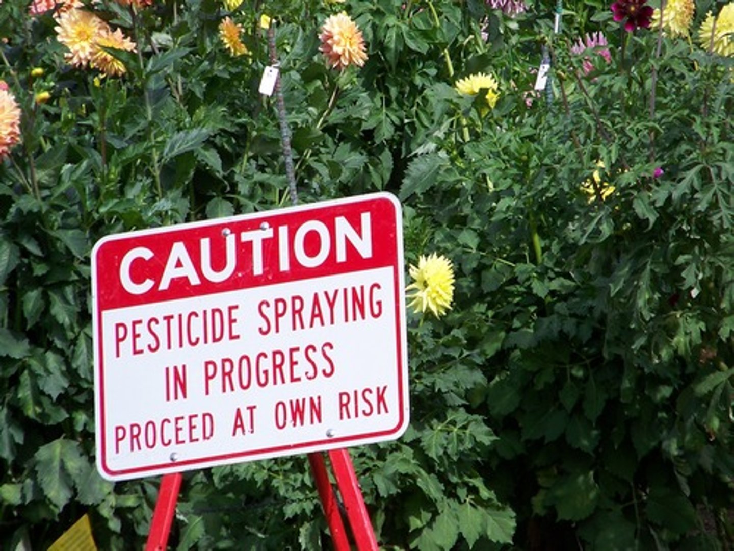 <p>The application of synthetic fertilizers to the soil and herbicides, fungicides, and pesticides to crops in order to enhance yields.</p>