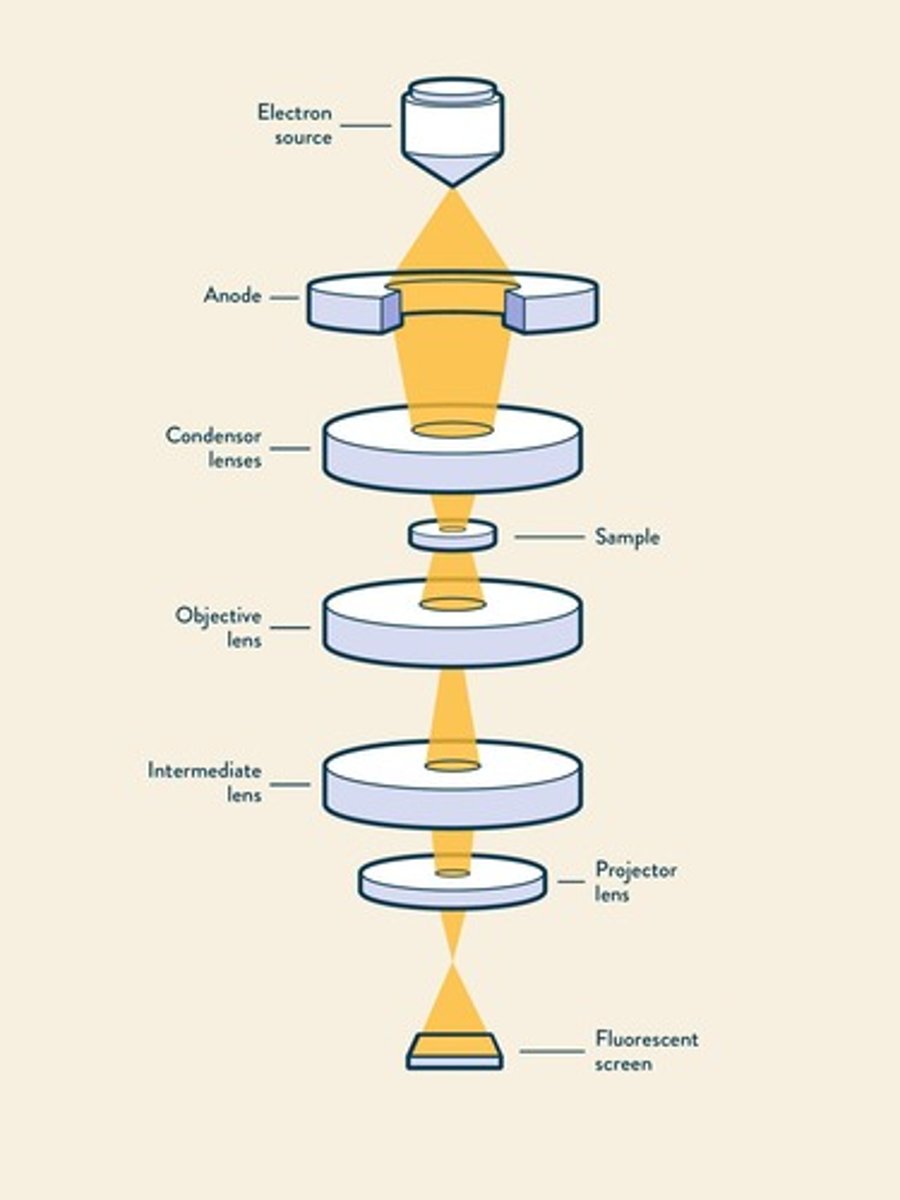 <p>Uses electrons for high-resolution imaging.</p>