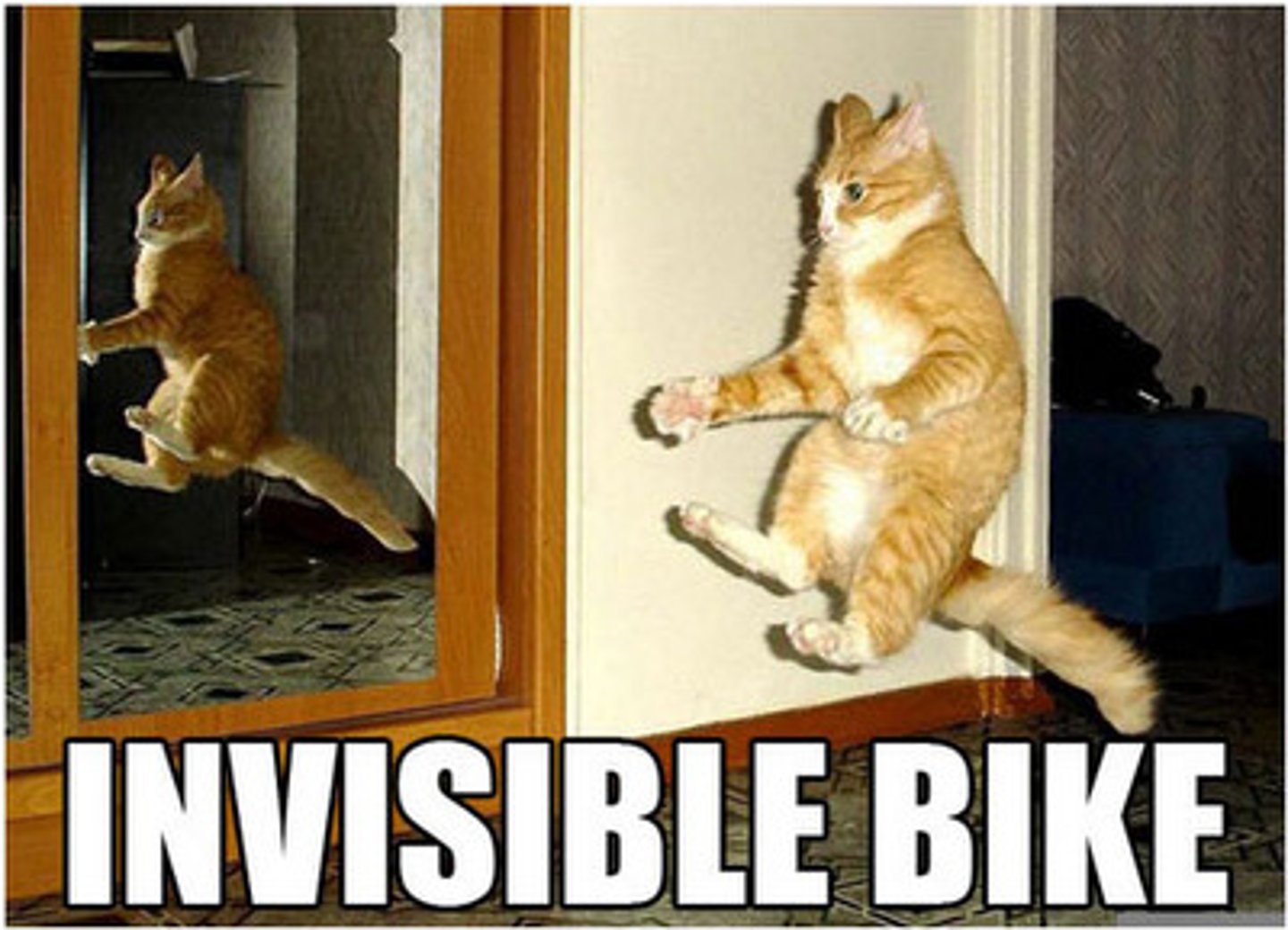 <p>visible</p>