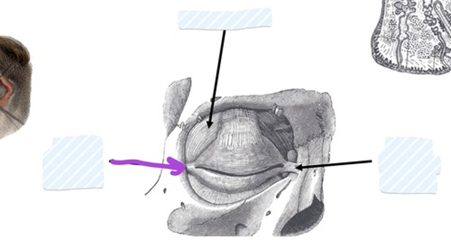 <p></p>