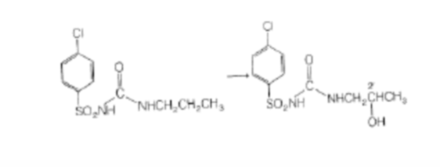 <p>oxidation at penultimate carbon: add OH group to second to last carbon on non COOH end</p>