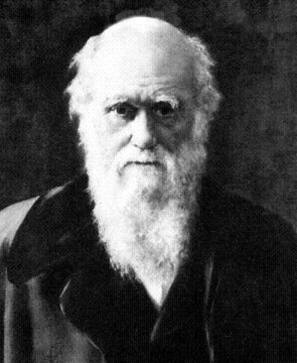 <p>developed the theory of natural selection in On the Origin of Species (1859), challenging traditional beliefs about creation.</p>
