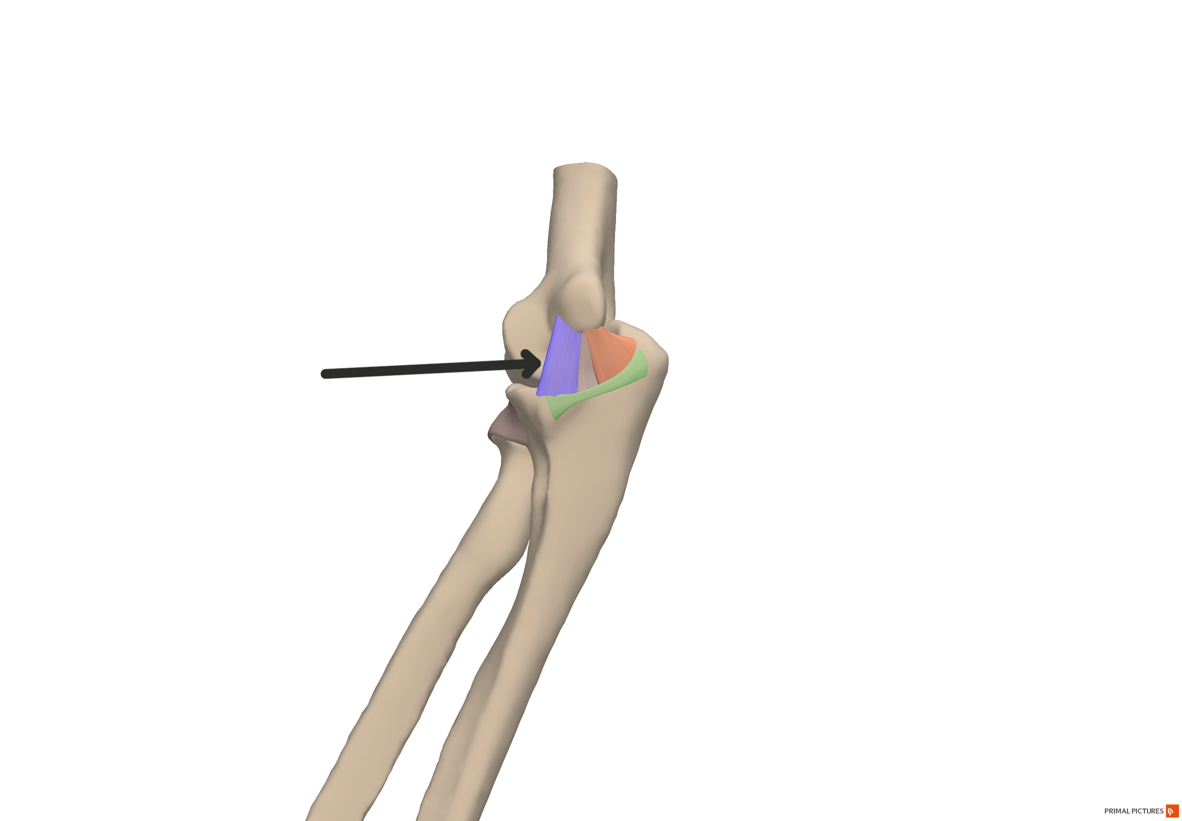 all highlighted structures