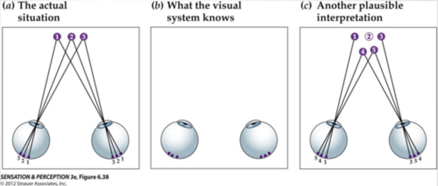 <p>In binocular vision, the problem of figuring out which bit of the image in the left eye should be matched with which bit in the right eye. - The problem is particularly vexing in images like random dot stereograms.</p>